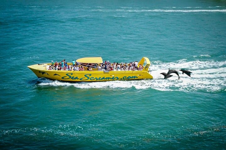 Sea Screamer Clearwater’s Only Speed Boat Dolphin Watching