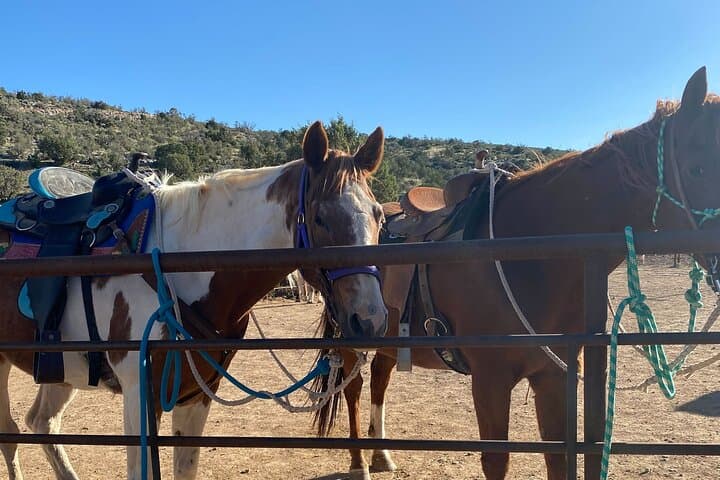Horseback Ride near the Grand Canyon’s West Rim