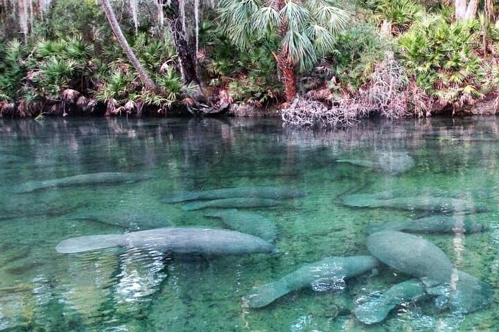 Tandem Kayak Rental (2hr) – Blue Spring State Park