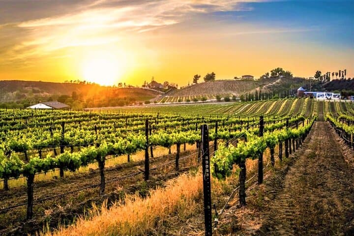 San Diego to Temecula – Wine Country tour plus Old Town Temecula
