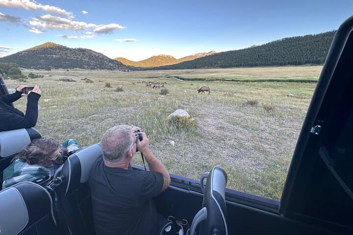 A Rutin’ Good Time; Elk Tour in Rocky Mountain National Park