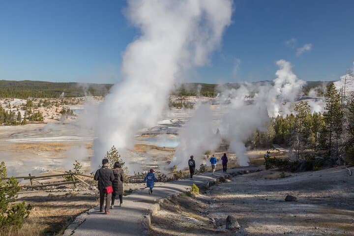 Yellowstone in a Day – Wildlife, Canyons, & Hot Springs