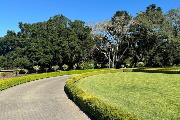 Napa Valley Luxury Wine Tours & Car Services