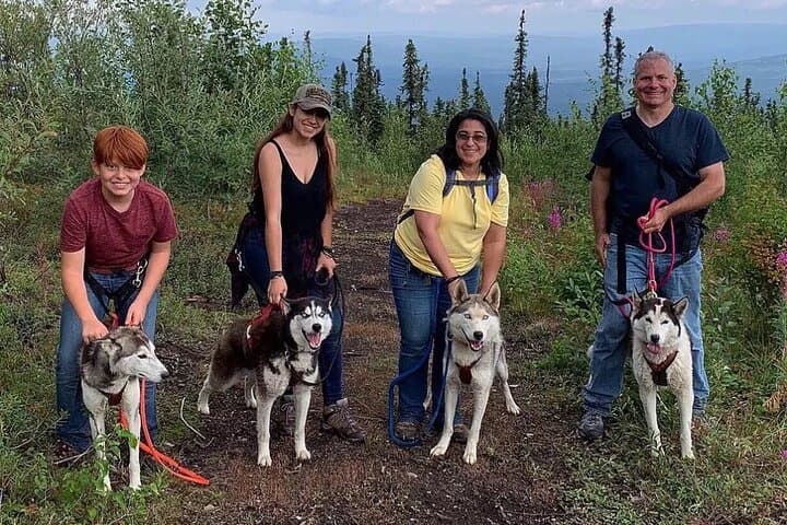 Husky Hike – Guided Nature Walk w/ Siberian Huskies