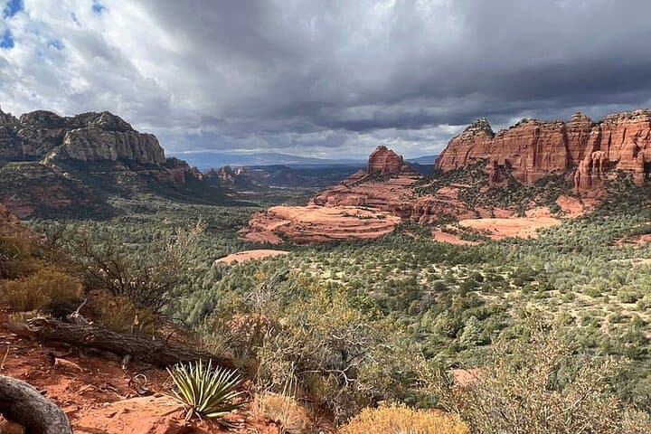 Schnebly Hill Jeep Tour: Rugged Rim Views & Historic 4×4 Road