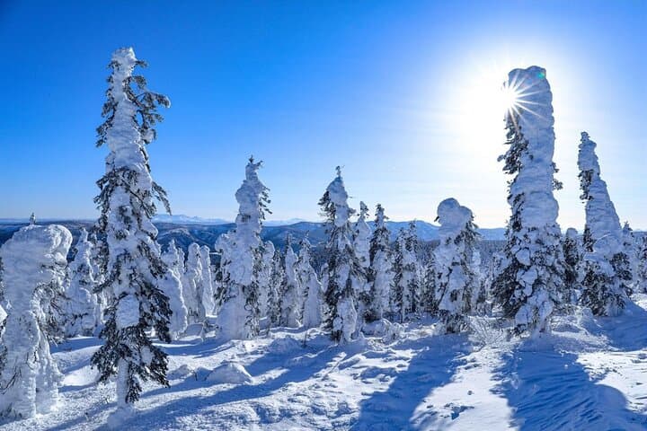 Arctic Circle Day Tour Adventure
