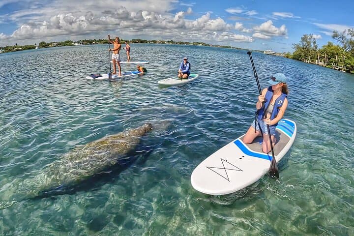 Paddle Boarding Eco Adventure Tour Jupiter Florida – Singer Island