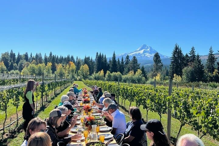 Full-Day Mt Hood Waterfall Tour with Lunch and Wine Included