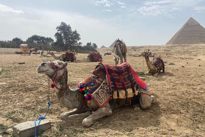 Private tour to Giza Pyramids Sphinx Memphis Saqqara & camel ride