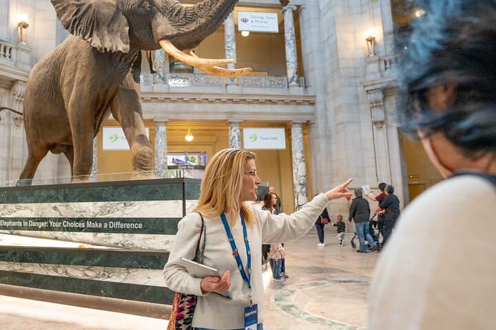 Smithsonian “Big 3” Highlights Tour (Air & Space Entry Included)