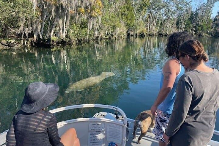 Discover Crystal River’s Secrets with Private Boat Tour