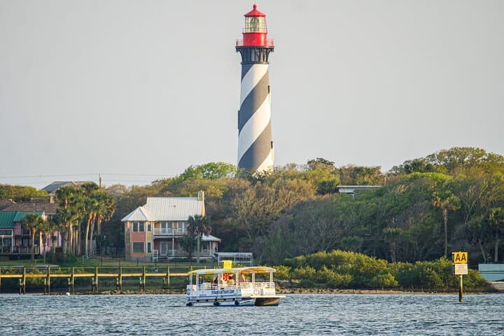 Dolphin and Wildlife History Tour