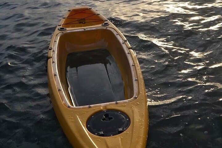 Crystal River: Clear Bottom Single Person Kayak Rental to Three S