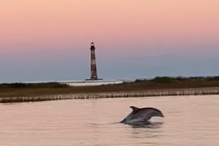 Private Folly River Dolphin Adventure (to 12 guests)