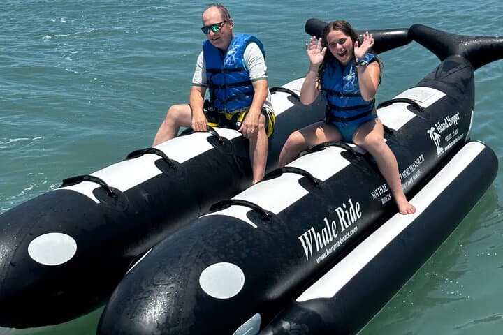 Orca Whale Inflatable Rides