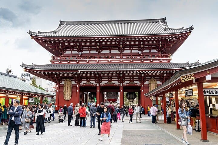 Tokyo Private Tour: Temples, Culture & Modern City Highlights