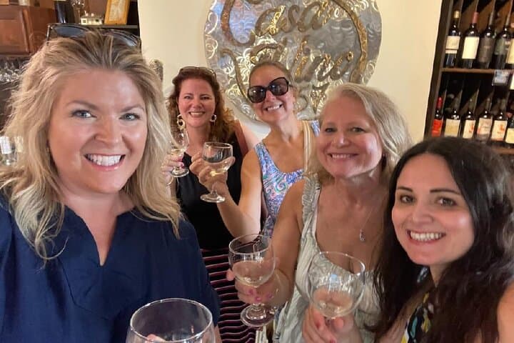 Mobile Wine Tasting and Food Pairing Tour St. Augustine