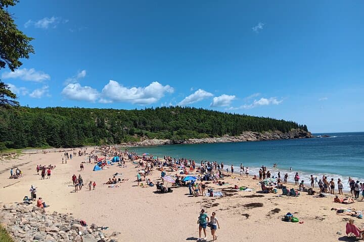 Acadia Woody’s Utmost Coast 3 Hour Driving Tour