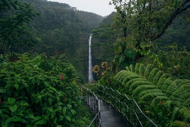 Akaka Falls Tour – Volcanoes National Park and Hilo Discovery