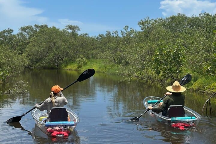 Get Up And Go Kayaking – New Smyrna Beach