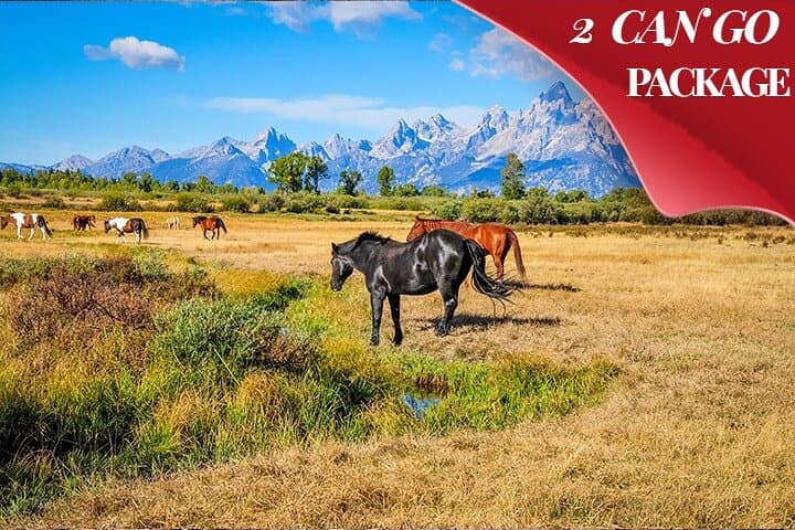 6-Day Grand Teton, Yellowstone, Rockies & Colorado Hot Springs