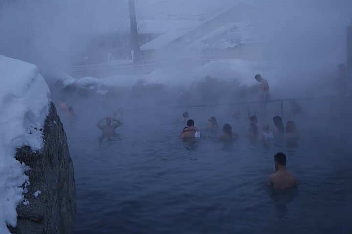 Private Tour for Chena Hot Springs (Free Photo) from Fairbanks