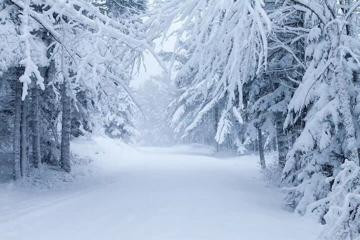 Acadia National Park Winter Wonderland Private Driving Tour