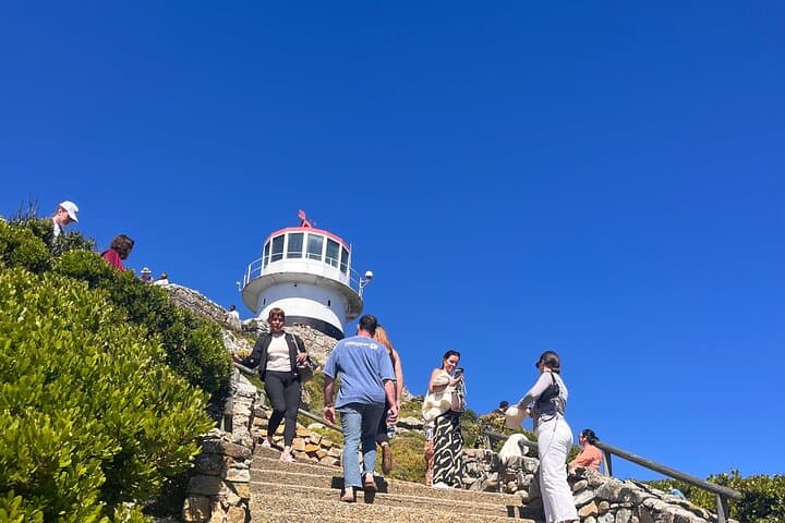 Cape Town 3Day highlightsTour Package, Families,Couples & Groups