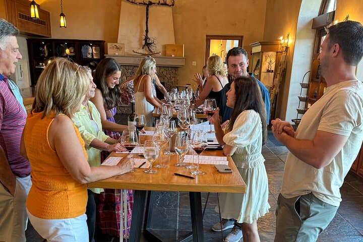 Healdsburg 6 Hour Wine Tour with Luxury SUV – Seats up to 4