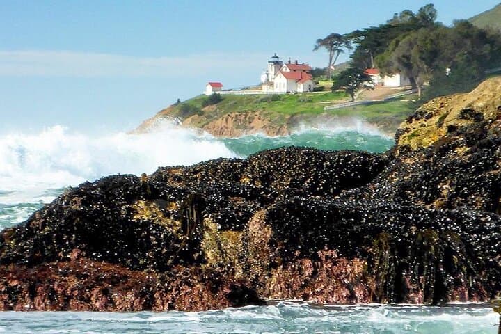 Coastal Hiking Adventures on California’s Central Coast