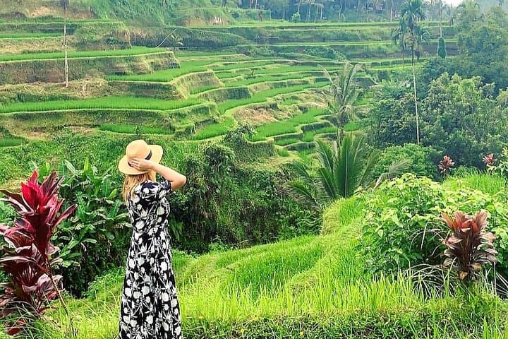 Ubud Tour – Ubud Highlight – Private Tour All inclusive