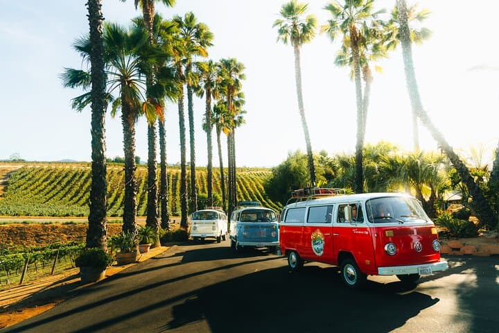 VW Bus 2-Stop Wine Tour Temecula – Retro Cali Vibes