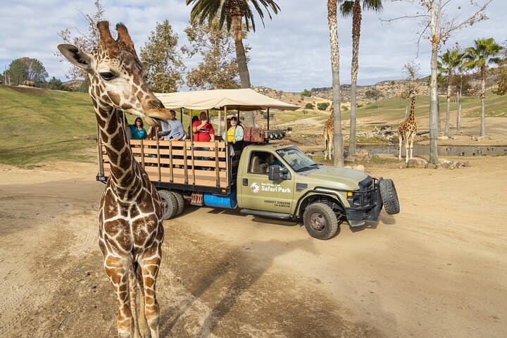 San Diego Zoo and Safari Park 2-Visit Pass Ticket