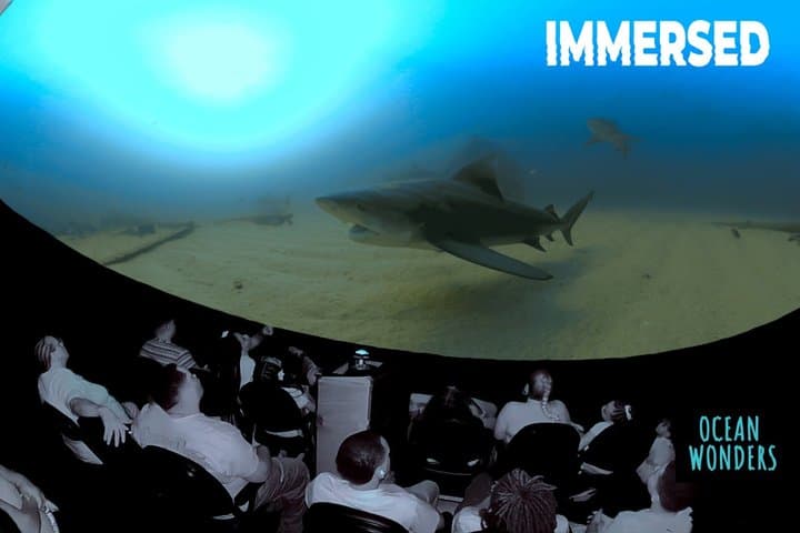 Ocean Wonders: Catalina Island’s Immersive Movie Experience