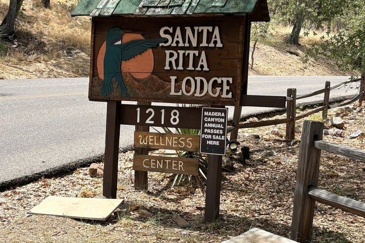 Phoenix to Madera Canyon Hummingbird and Birdwatching Tour