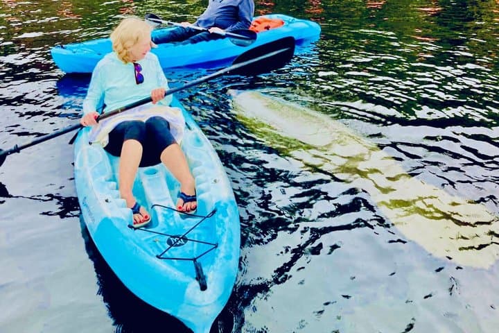 Dolphin, Manatee and SeaTurtle SUP Adventure Tour of St Augustine