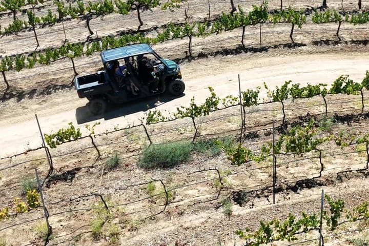 Thrilled UTV Escape Tasting+Lunch