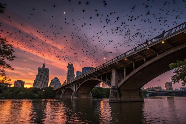Austin’s Best Bars and Bats 3-Hour Guided Tour