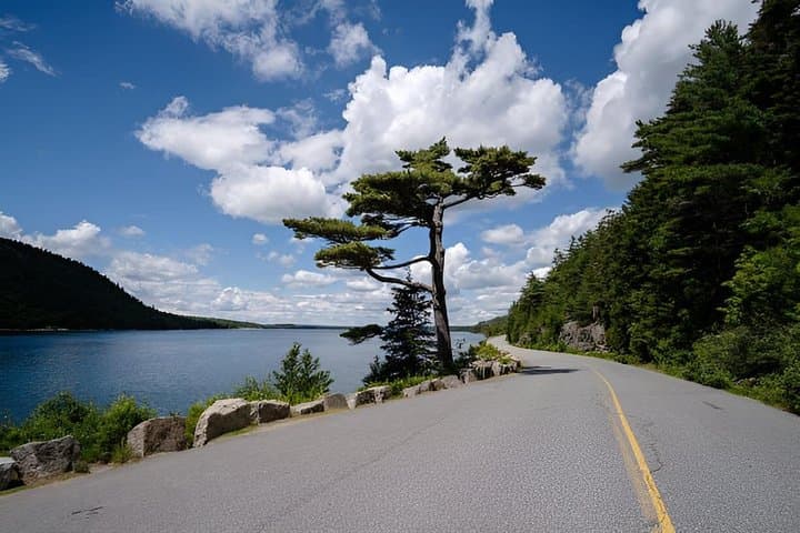 3 Hours: Insider’s Acadia with Somes Sound & Historic Villages
