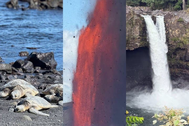 Big Island: Hawaii Volcanoes and Hilo Private Adventure
