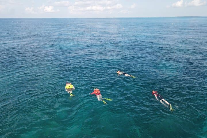 Key Largo Coral Reef Snorkeling Boat Trip