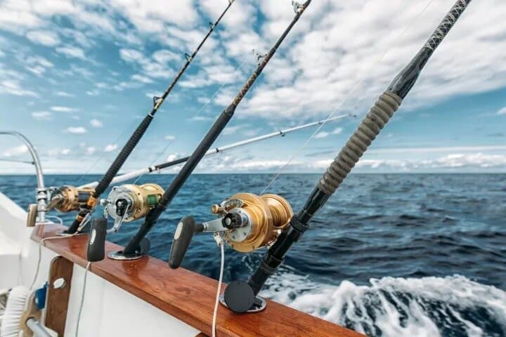 12-Hour Gulf Stream Fishing Adventure from North Myrtle Beach
