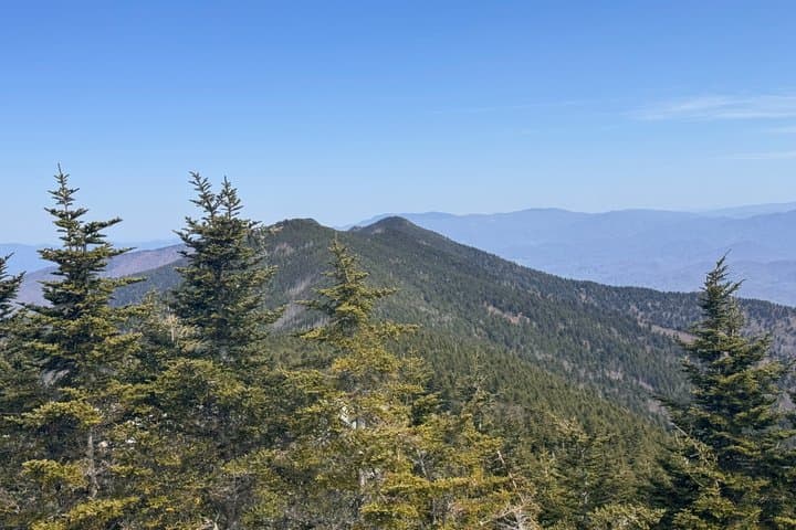 Mt Mitchell Scenic Summit Tour