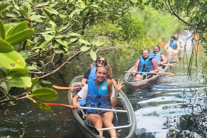 2 Hour Clear Kayak Mangrove Tunnel Eco Tour – Sarasota