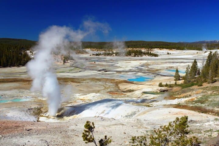 Yellowstone Grand Loop self-guided driving tour start Grant VC