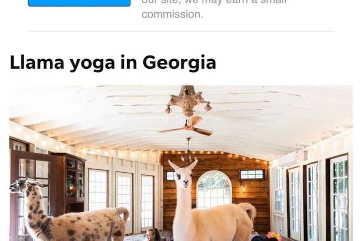 Llama Yoga